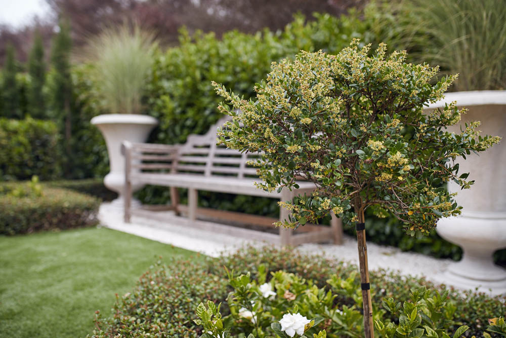 Landscape designers Dairy Flat Auckland | Branche Landscapes