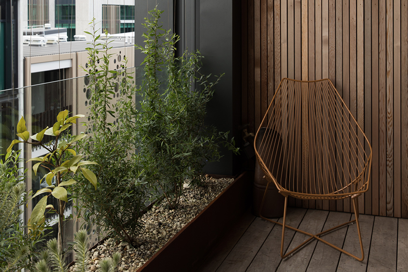 Patio gardens Grey Lynn Auckland | Branche Landscapes